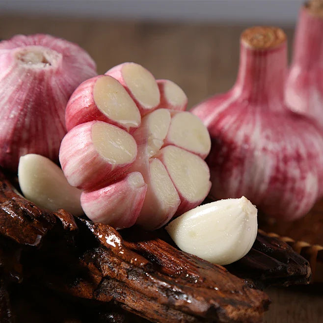 Odorless Aged Garlic