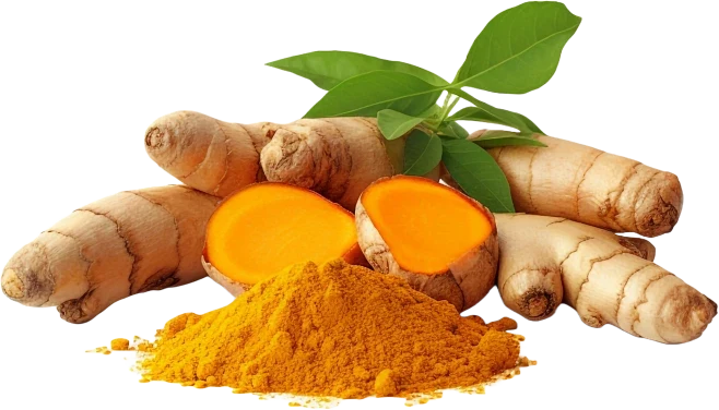 Ginger